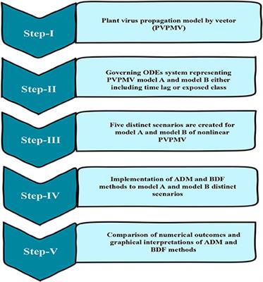 Reliable numerical treatment with Adams and BDF methods for plant virus propagation model by vector with impact of time lag and density